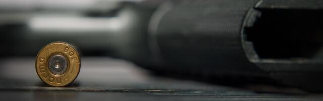 Раскрыты подробности гибели от огнестрельных ранений двух мальчиков в Латвии 