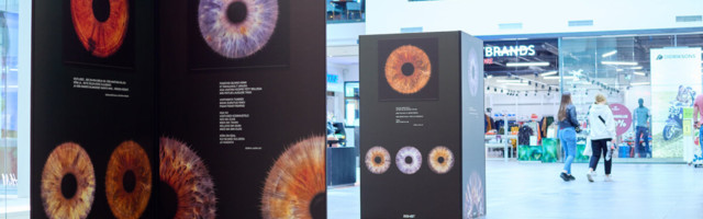 На выставке IRISHOT в торговом центре Nautica можно познакомиться с самыми красивыми глазами Таллинна!