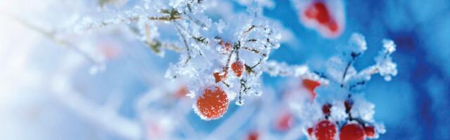 ПРОГНОЗ ПОГОДЫ | Эксперты рассказывают, какой будет погода в ближайшие несколько недель и к чему стоит готовиться жителям Эстонии