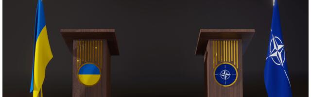 Переговоры о пути Украины к членству в НАТО продолжаются