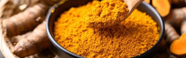 Куркума: польза и вред для здоровья мужчин, женщин, как принимать, рецепты, противопоказания