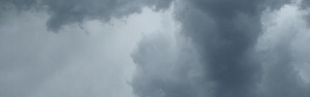 Из-за штормового ветра без электричества свыше 9700 потребителей