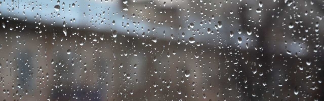 Прогноз погоды в Ида-Вирумаа на пятницу, 15 мая