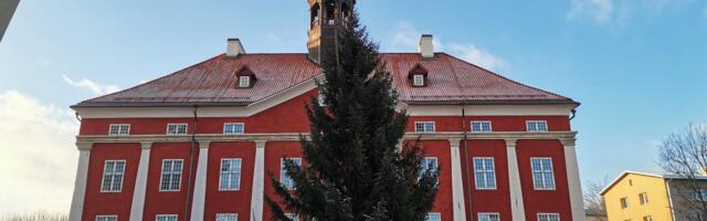 ФОТО И ВИДЕО | На Ратушной площади в Нарве установили рождественскую ель