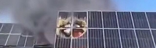 Правдиво ли видео о том, как в Испании из-за аномальной жары горят солнечные панели?