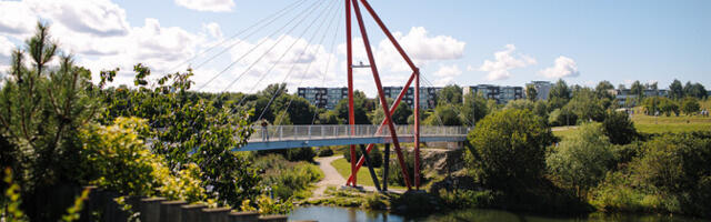 В Ласнамяэ заменят ведущие к озеру Паэ лестницы