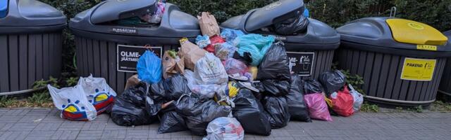 Под мусорным мешком был найден норвежский путешественник. По словам мужчины, у него украли документы 