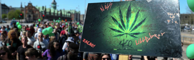 Партия "зеленых": легализация марихуаны не ухудшит жизнь в Эстонии