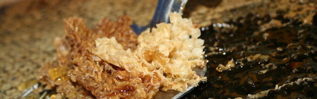 Пчеловоды: для многих пасечников нынешний сезон может стать последним гвоздем в крышку гроба