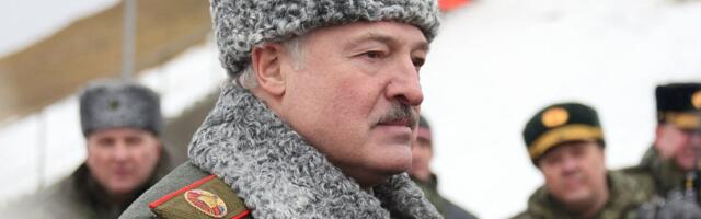 Наш ответ „Западу-2025“. НАТО проводит масштабные учения, а Лукашенко не хочет ссориться с Трампом