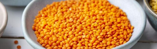 Чечевица: польза и вред для организма мужчин, женщин, противопоказания