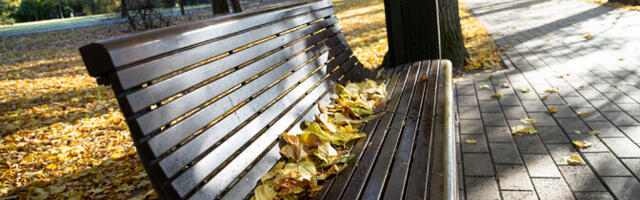 Во вторник облачно, местами дожди, +7..+12