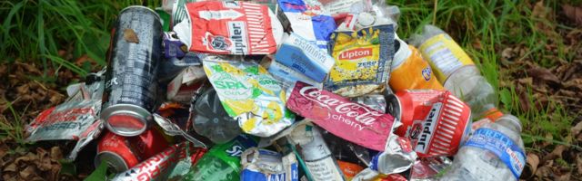 Игра RMK по теме отходов учит правильно сортировать отходы