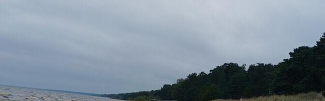 Повышенный уровень воды в Чудском озере хорошо влияет на рыбу