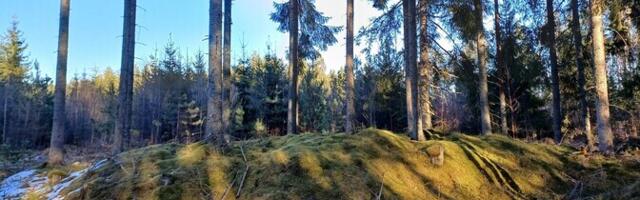 В Эстонии обнаружили десятки новых курганов