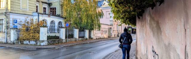 Тарту просит жителей проверить ветви деревьев и кустов вдоль своих участков