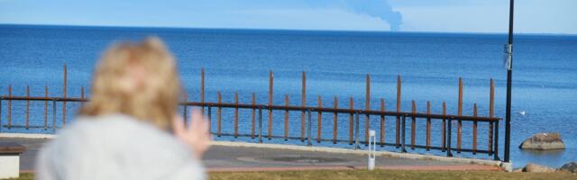 Пожар в порту Усть-Луга вызвал тревогу за качество воздуха в Эстонии