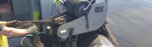 За четыре дня из Чудского озера вытащили 588 старых рыболовных сетей