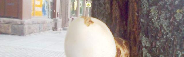 Знак свыше?..