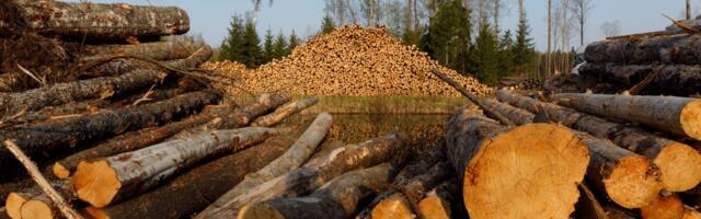 Финнам разрешили продать лесной бизнес эстонцам
