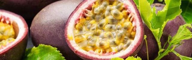 В маракуйе обнаружили компонент, который может лечить деменцию