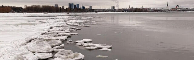 Уровень воды в Балтийском море опустился до рекордно низких значений