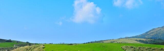 В субботу ясно или малооблачно, +17.. +21