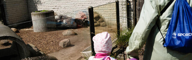 Правительство Эстонии не поддержало предложение сделать 1 июня официальным выходным