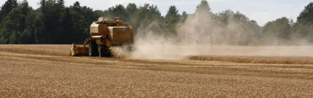 Миллионные долги и три тяжелых года: компания фермера запустила санацию