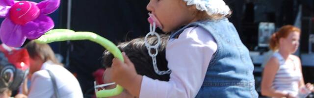 В Нарве хотят создать «Семейное гнездо»