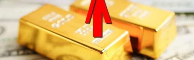 Цена на золото выросла на 40 %: новый рекорд