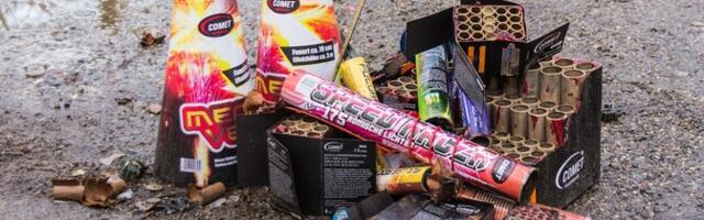 Финский парламент рассмотрит гражданскую инициативу о запрете фейерверков