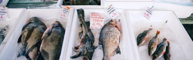 ТАБЛИЦА | Свежая рыба „захватывает“ рынки: ассортимент расширился, цены радуют