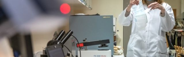 Коллективного иммунитета нет. И до создания вакцины от COVID-19 не будет?