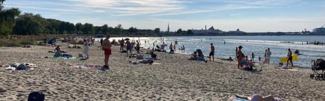 Купаться у "Русалки" нельзя: туда сливаются сточные воды