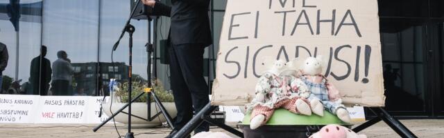 ФОТО и ВИДЕО | В Таллинне прошла акция протеста у здания Суперминистерства: "Дело не в свиньях, а в свинстве"