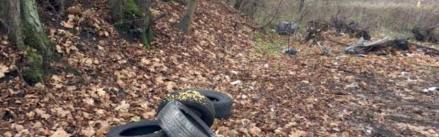 Остановят ли нарушителей увеличенные штрафы?