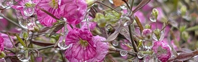 В воскресенье переменная облачность, +15..+19