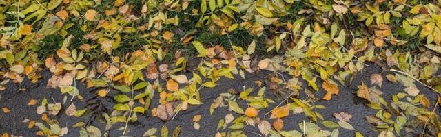 В четверг будет облачно и дождливо