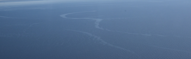 Вблизи Тойла обнаружено загрязнение моря