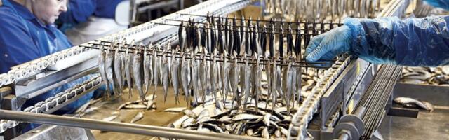 Продукты «Kaija» в магазине в Китае продают под вывеской «Ура, Россия»