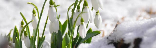 В Латвии усилится оттепель