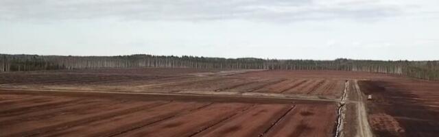 Исследование: потепление климата может негативно повлиять на торфянистую почву в странах Балтии