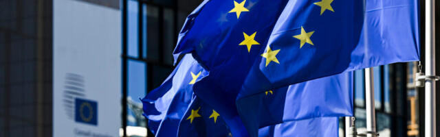 СМИ: ЕС готовит предложение о предоставлении привилегий Украине вместо ускоренного вступления