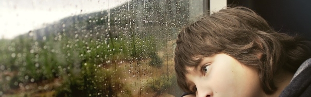 Прогноз погоды в Ида-Вирумаа на 16-17 мая