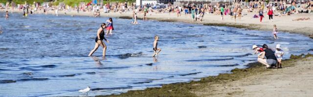 Сбережения под угрозой. Как лето влияет на финансовые привычки жителей Эстонии?