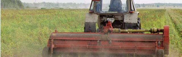 Молчаливые страдания иностранных рабочих в Эстонии: 300 часов в месяц, но зарплаты хватает только на еду и аренду