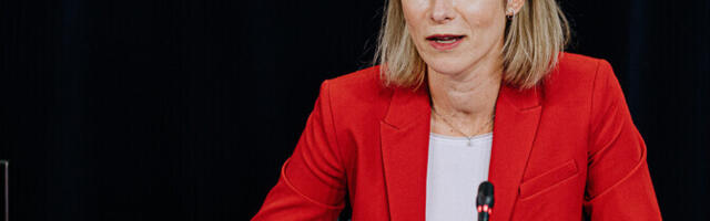 Каллас: если США хотят мира, то должны давить на РФ, а не на Украину