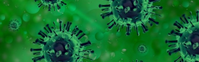 Специалисты: бессимптомные носители вируса могут сыграть свою роль в распространении COVID-19
