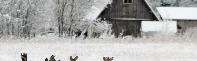 Синоптик: суровая зима закончится на этой неделе